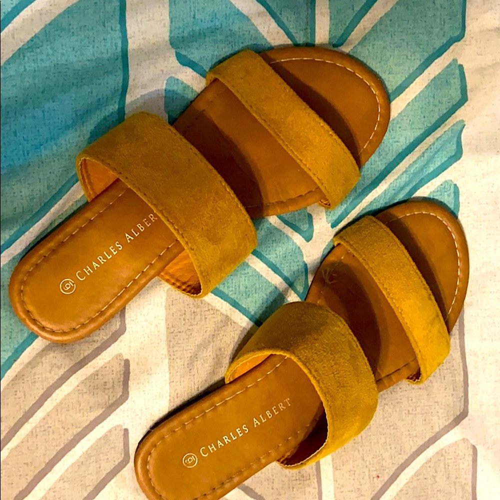 Size 6 Charles Albert sandals